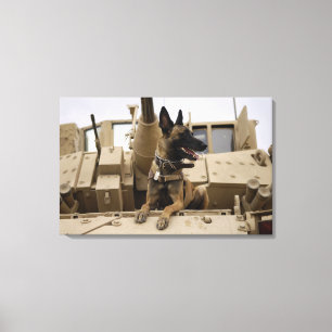 Toile Un chien d'utilité militaire se repose sur un M2A
