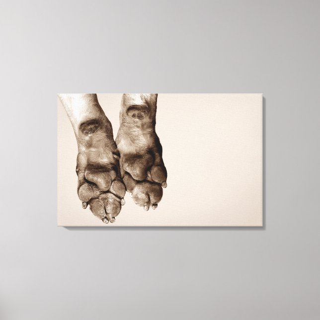 Toile Un chien pattes (Recto)
