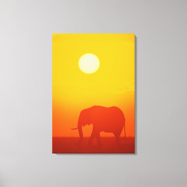 Toile Un éléphant africain se promène au coucher du sole (Recto)