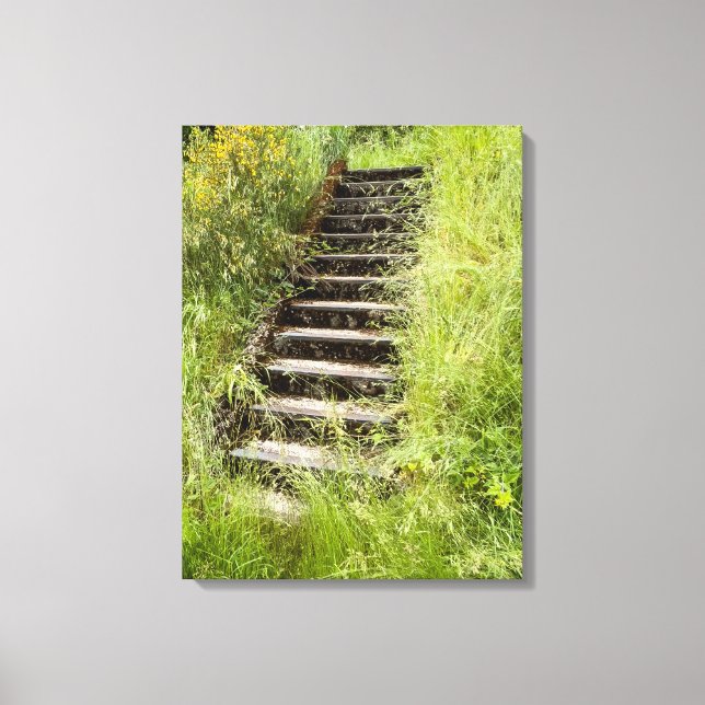 Toile Un escalier dans l'herbe (Recto)