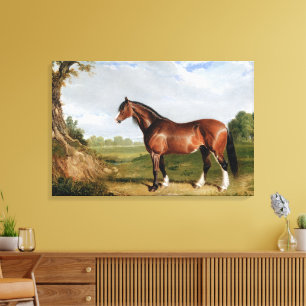 Toile Un étalon Clydesdale