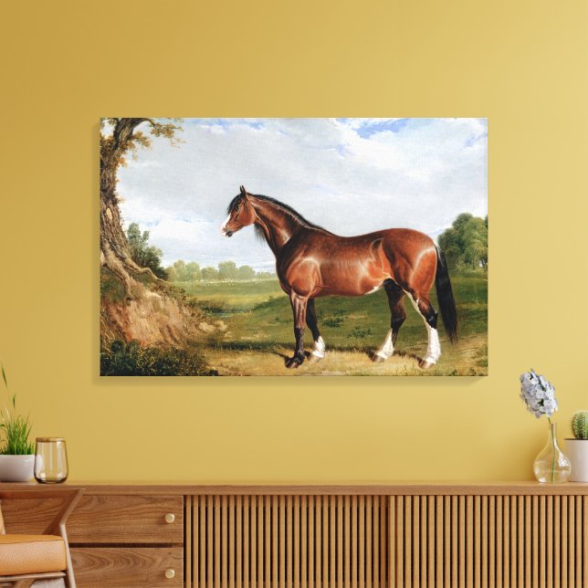 Toile Un étalon Clydesdale (Insitu(Salon))