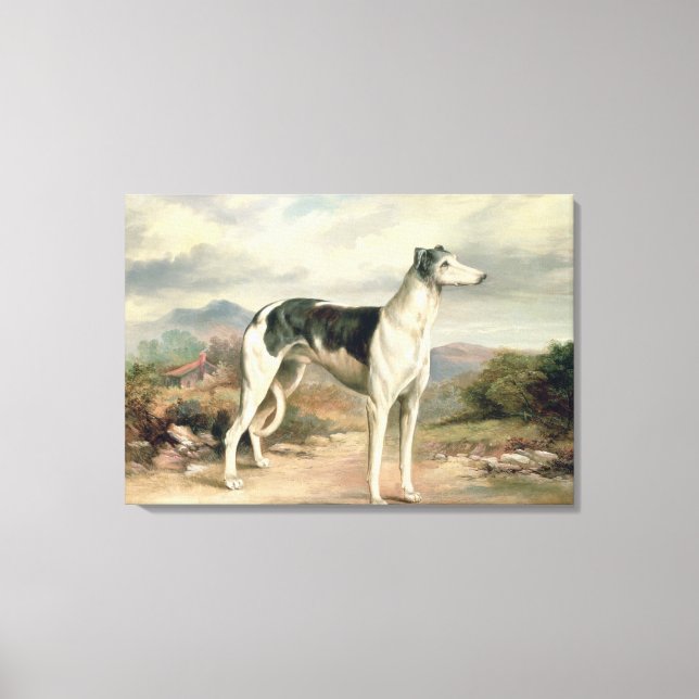 Toile Un Greyhound dans un paysage vallonné (Recto)