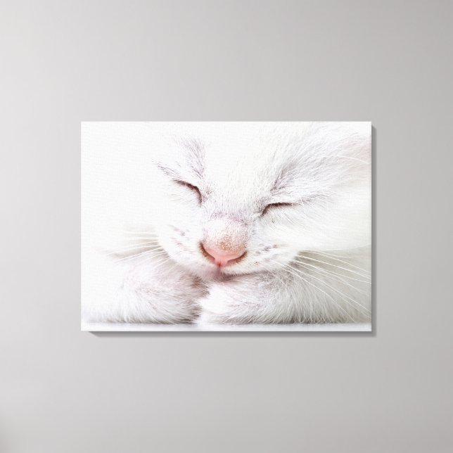 Toile Un gros plan extrême d'un très jeune blanc (Recto)