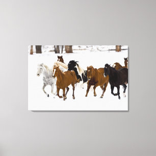 Toile Un hiver pittoresque de chevaux en course