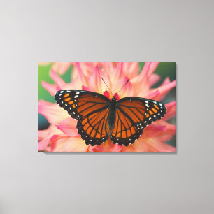 Toile Un imitateur du monarque papillon