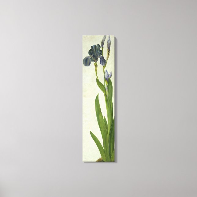 Toile Un Iris (Recto)