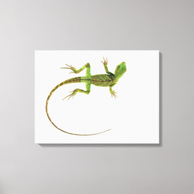Toile Un lézard sur fond blanc pur (Recto)