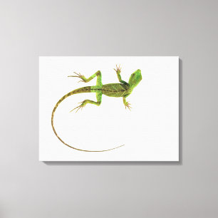 Toile Un lézard sur la terre blanche pure