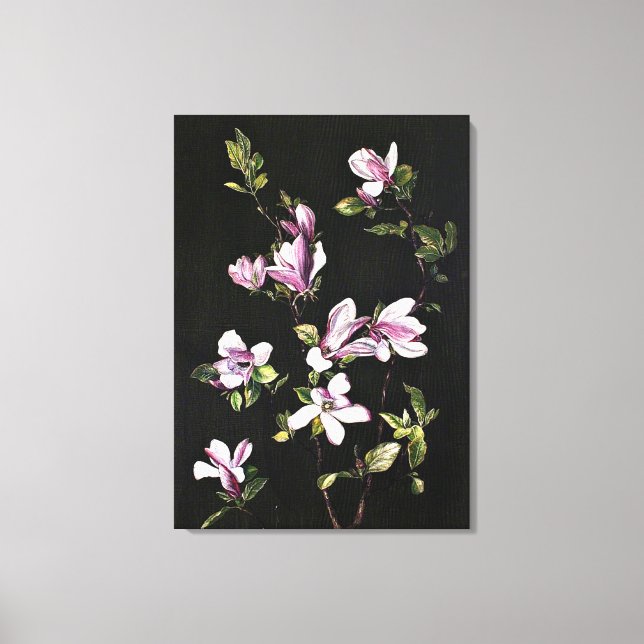 Toile Un Magnolia japonais (Recto)