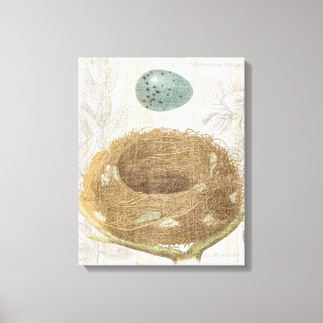 Toile Un nid d'oiseaux avec un oeuf décoratif (Recto)