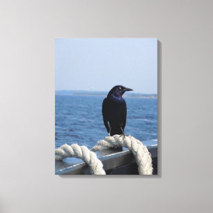 Toile Un oiseau noir sur le ferry