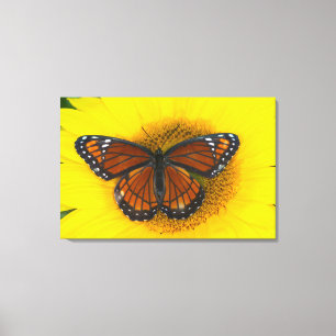 Toile Un papillon vice-roi Limenitis Archippus