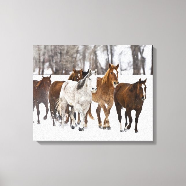 Toile Un Pittoresque hivernal de chevaux de course (Recto)