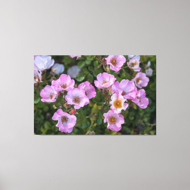 Toile Un Plaisir Insouciant (Recto)