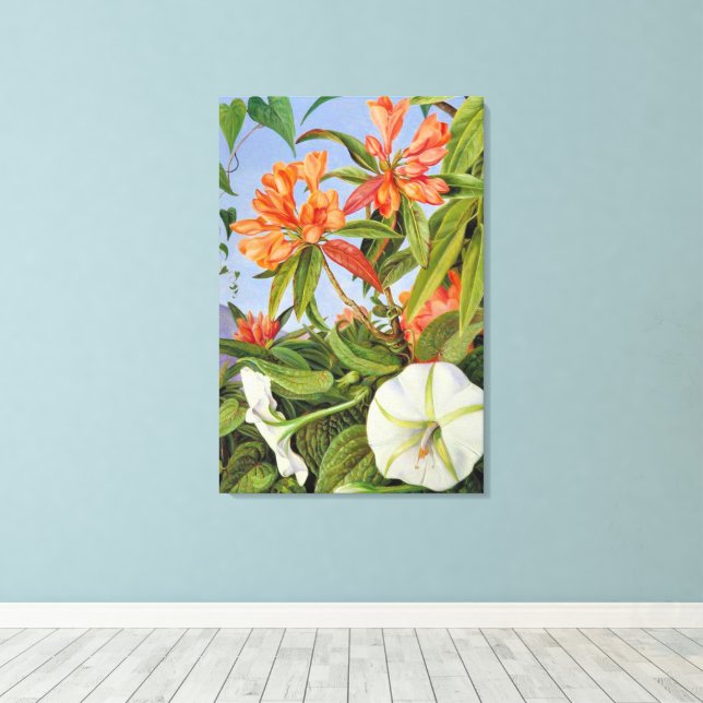 Toile Un Rhododendrum et Ipomoea de Java (Insitu (Plancher de Bois))