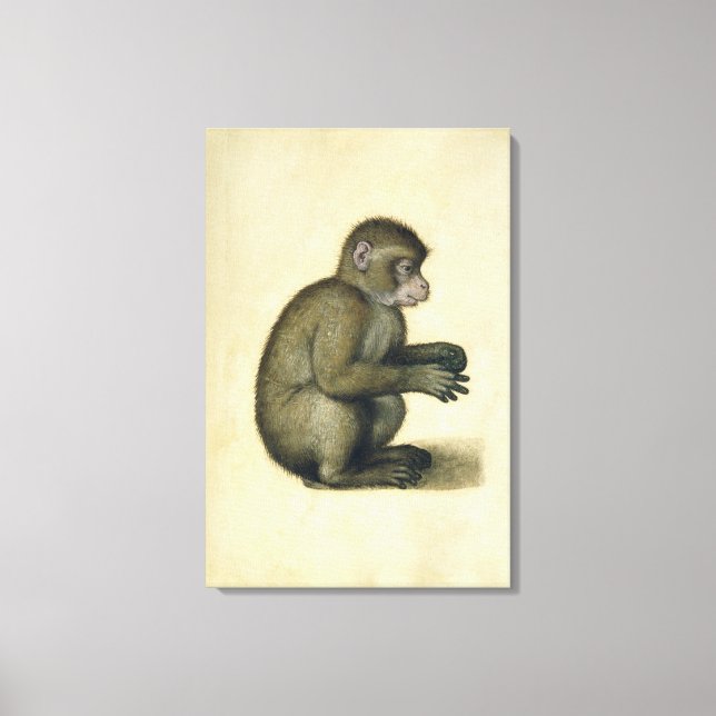 Toile Un singe (Recto)