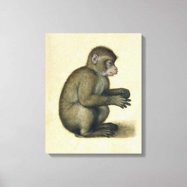 Toile Un singe (Recto)