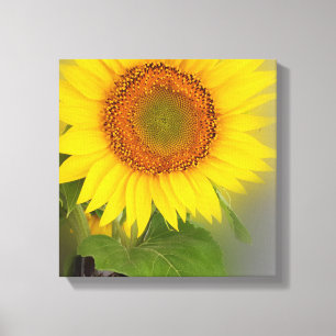 Toile un tournesol brillant