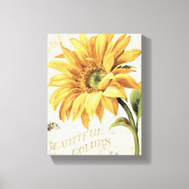 Toile Un tournesol en pleine floraison (Recto)