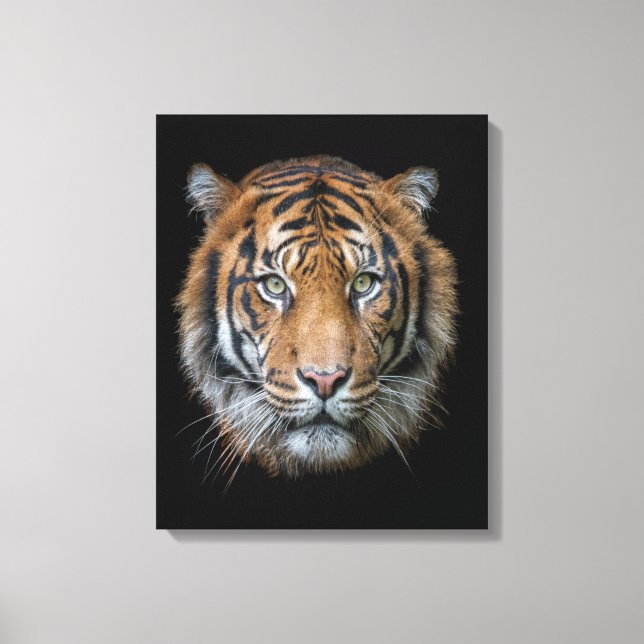 Toile Un visage sauvage de tigre du Bengale (Recto)