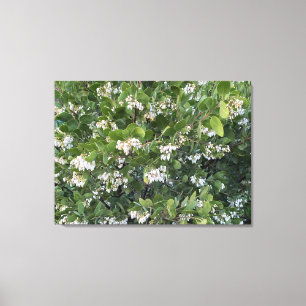 Toile Une Californie florissante : Manzanita Dr Hurd