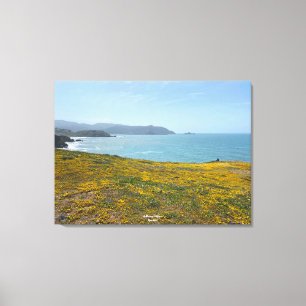 Toile Une Californie florissante : Mori Point