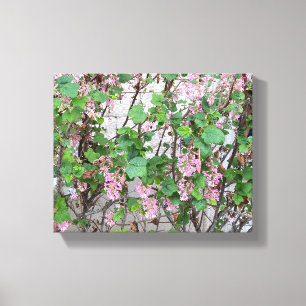 Toile Une Californie Florissante : Printemps En Rose