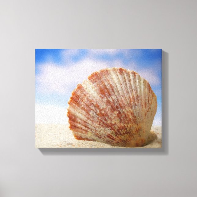 Toile Une Coquille Propulsée Dans Le Sable (Recto)