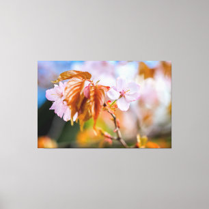 Toile Une Fleur De Sakura De Charme Sur Une Brindille Au