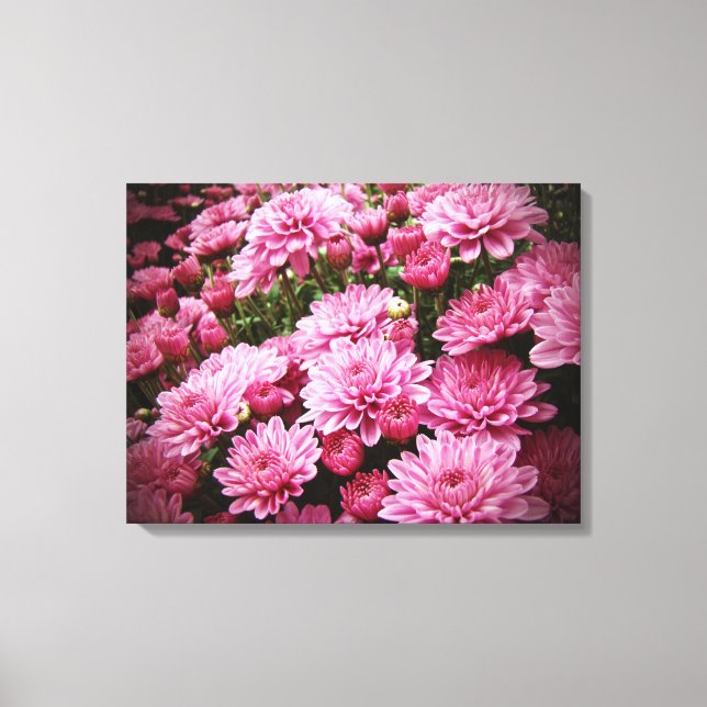 Toile Une mer de chrysanthèmes roses (Recto)