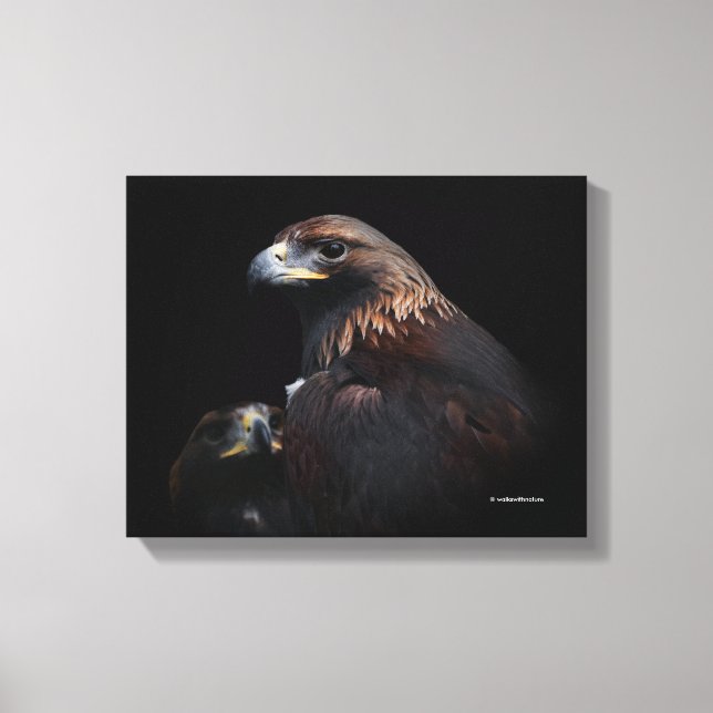 Toile Une paire de Beaux Aigles d'Or (Recto)