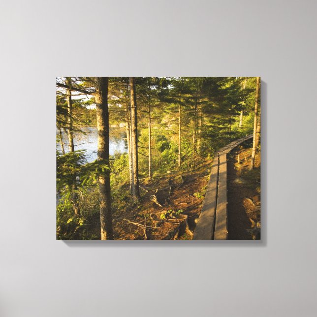 Toile Une passerelle en bois dans le parc national d'Aca (Recto)