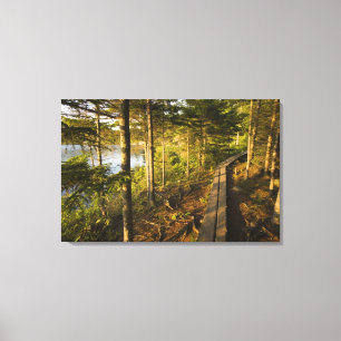 Toile Une passerelle en bois dans le parc national d'Aca
