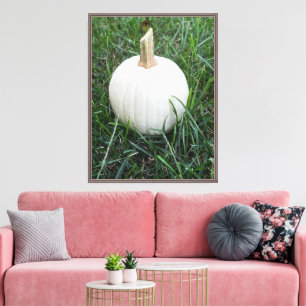 Toile Une petite citrouille blanche
