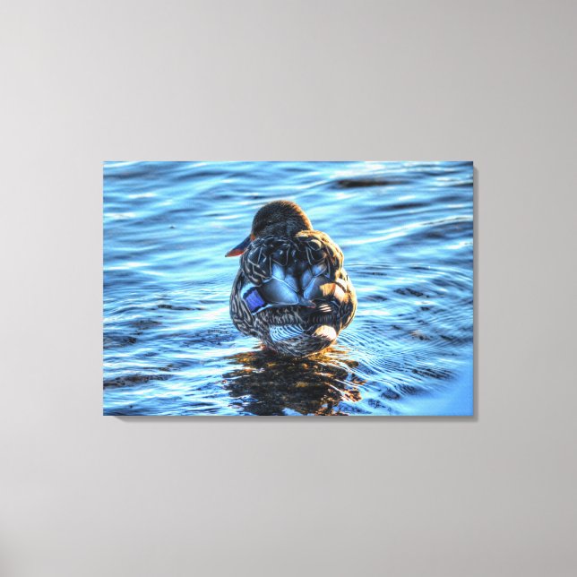 Toile Une photo de la faune d'hiver de Mallard (Recto)