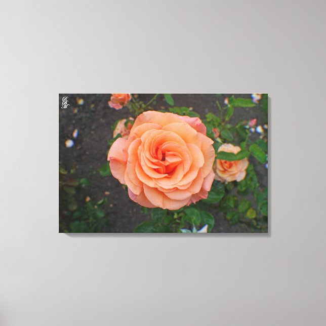 Toile Une seule fleur d'orange (Recto)