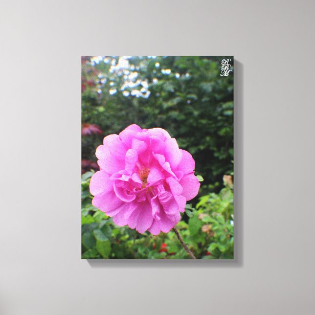 Toile Une seule fleur rose (Recto)