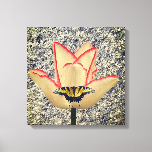 Toile Une tulipe et un papillon (Recto)