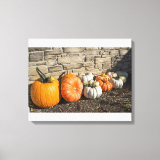 Toile Une variété de citrouille