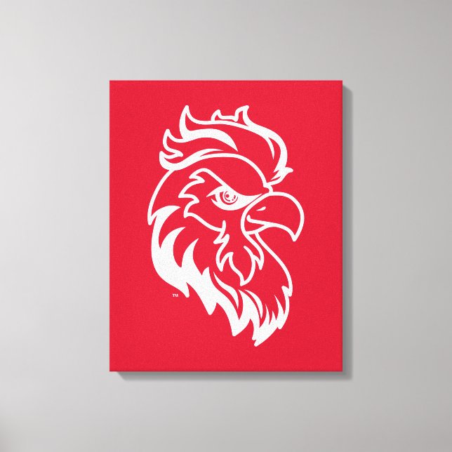Toile Université d'État de Jacksonville Gamecocks Red ga (Recto)