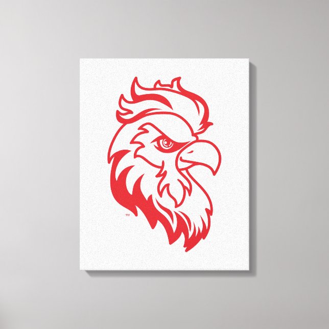 Toile Université d'État de Jacksonville Gamecocks Red ga (Recto)