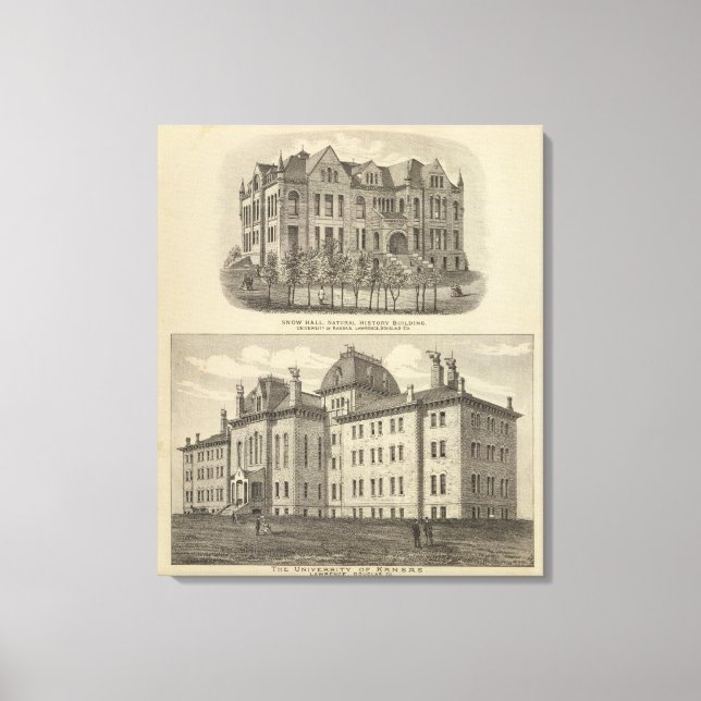 Toile Université du Kansas (Recto)