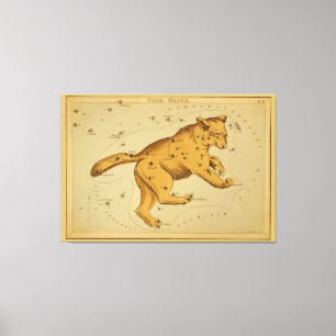 Toile Ursa Major - Image de la carte astronomique Vintag