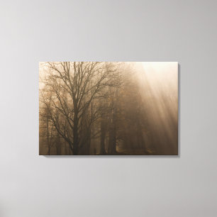 Toile USA Great Smoky Mountain NP Tennessee arbres dans