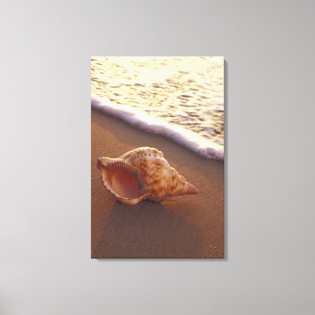 Toile USA, Hawaii, Maui, Kihei, Lumière du soir sur (Recto)