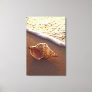 Toile USA, Hawaii, Maui, Kihei, Lumière du soir sur