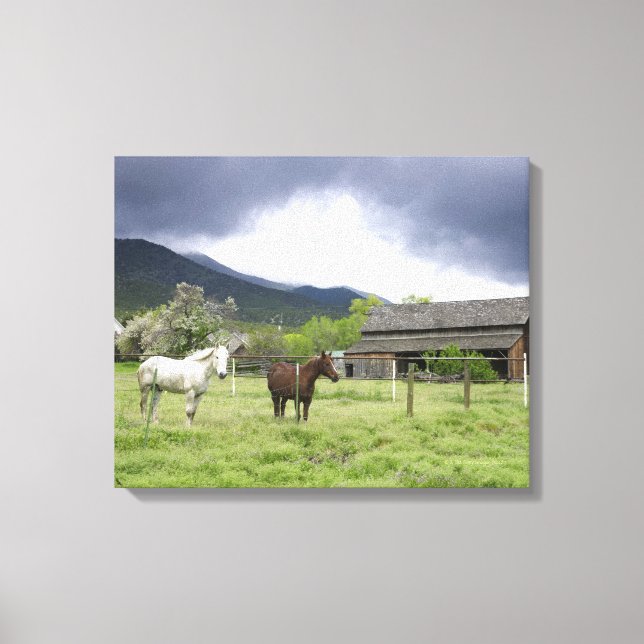 Toile USA, Utah, Chevaux en ranch (Recto)