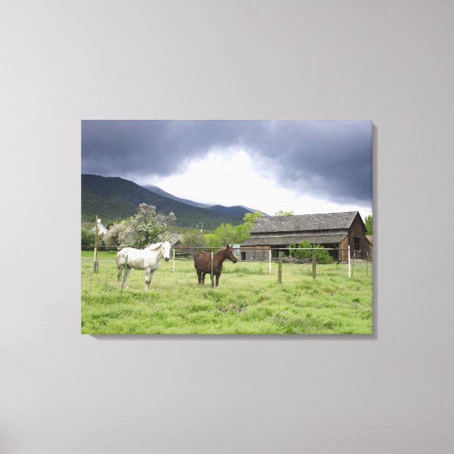Toile USA, Utah, Chevaux en ranch (Recto)
