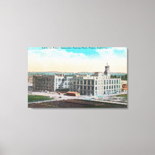 Toile Usine d'emballage d'association de raisin sec de